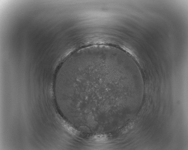 X0000067900353200604171409