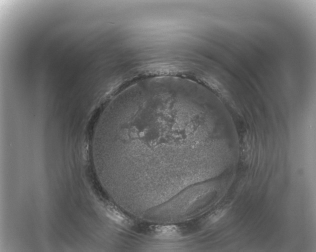 X0000067900355200604171409