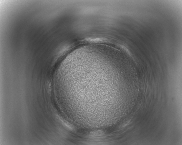 X0000067900357200604171409