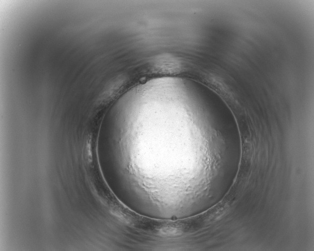 X0000067900358200604171409