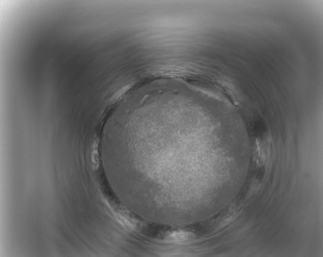 X0000067900360200604171409