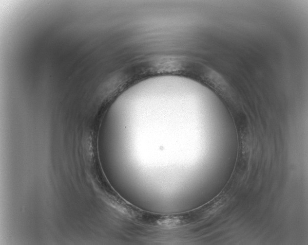 X0000067900362200604171409