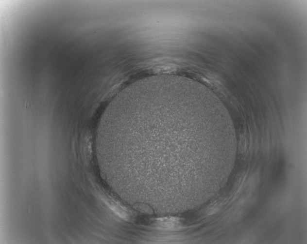 X0000067900363200604171409