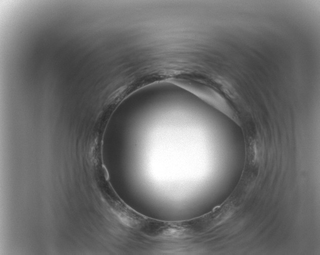 X0000067900364200604171409