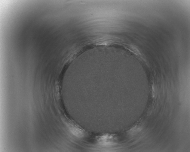 X0000067900366200604171409