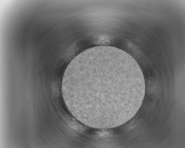 X0000067900370200604171409