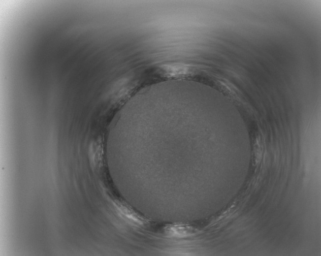 X0000067900372200604171409