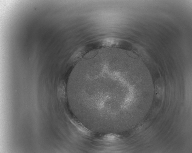 X0000067900375200604171409