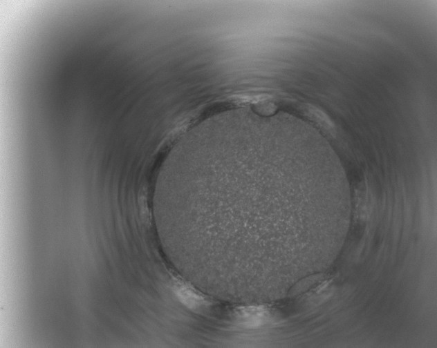 X0000067900377200604171409