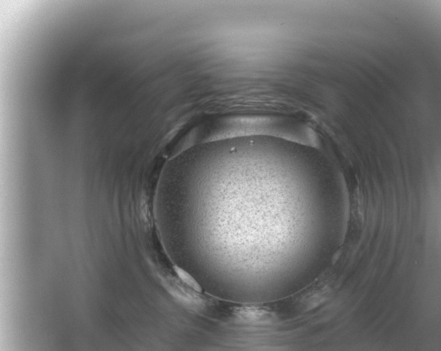 X0000067900380200604171409