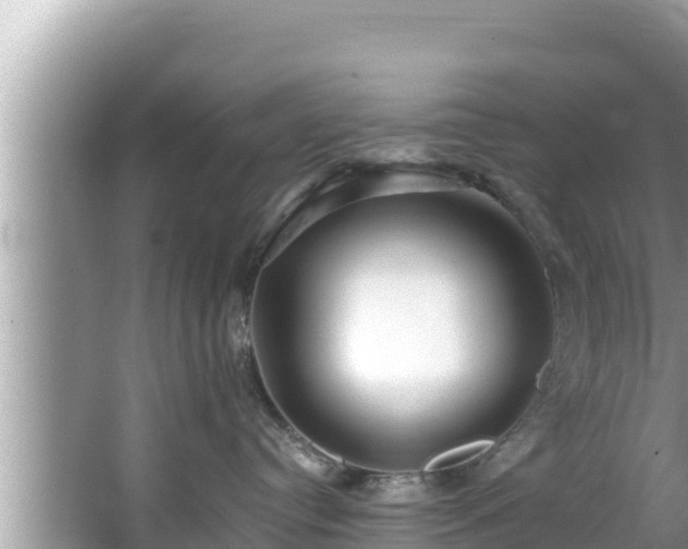 X0000067900384200604171409