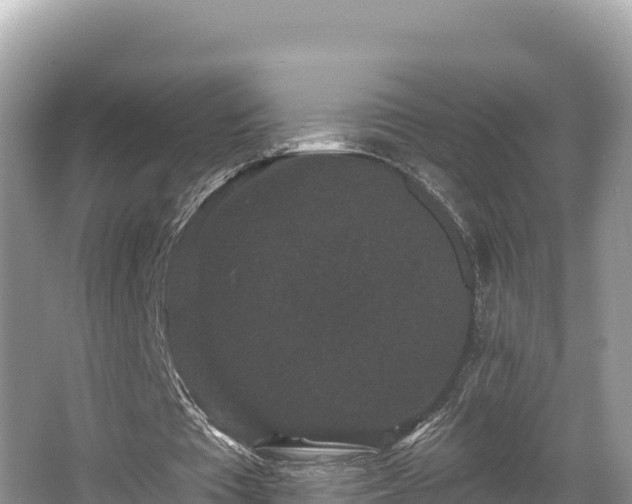 X0000067900385200604171408