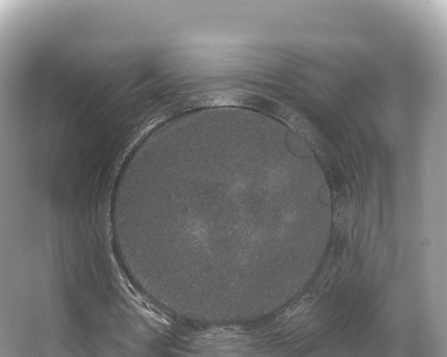 X0000067900386200604171408