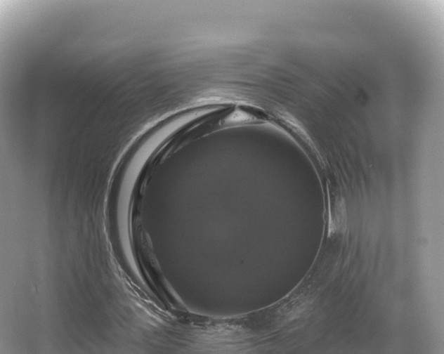 X0000067900387200604171408