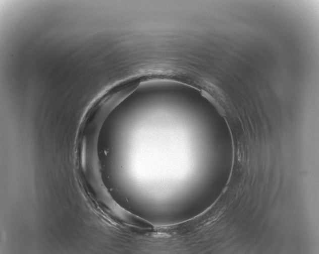 X0000067900388200604171408