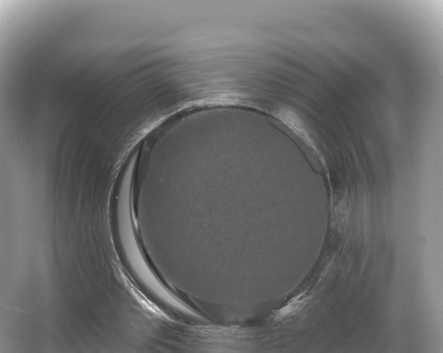 X0000067900389200604171408