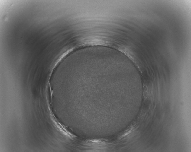 X0000067900390200604171408