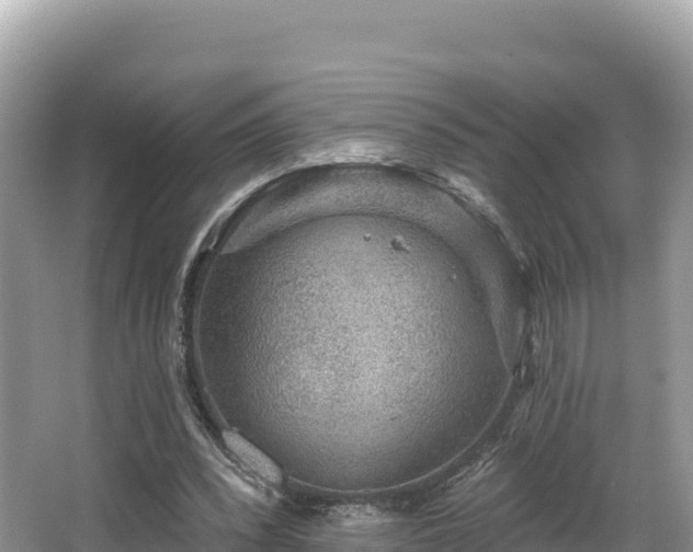 X0000067900392200604171408