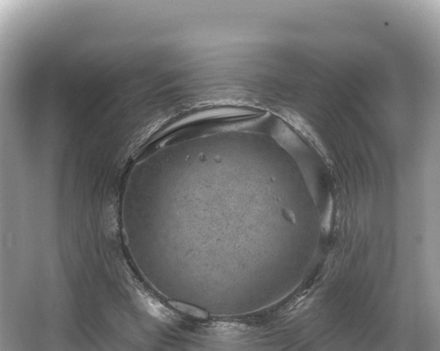 X0000067900393200604171408