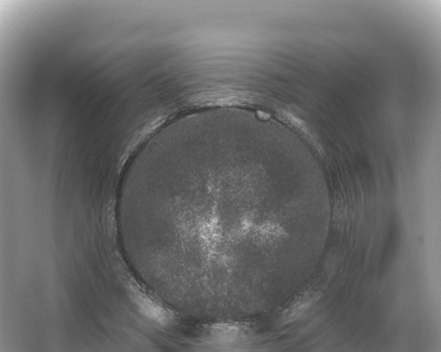 X0000067900394200604171408