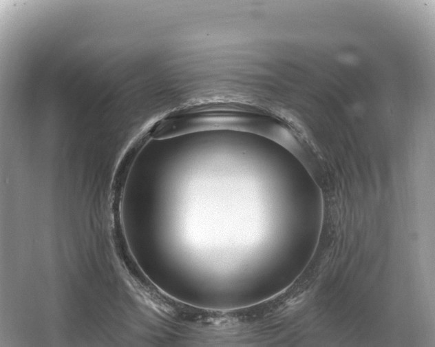 X0000067900395200604171408