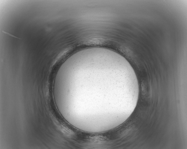 X0000067900396200604171408