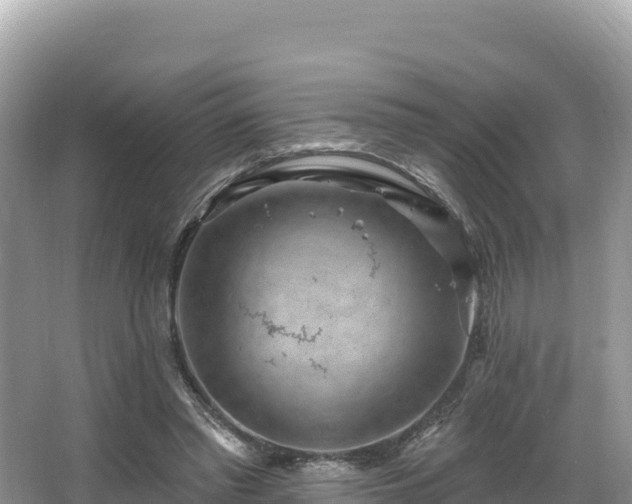 X0000067900397200604171408