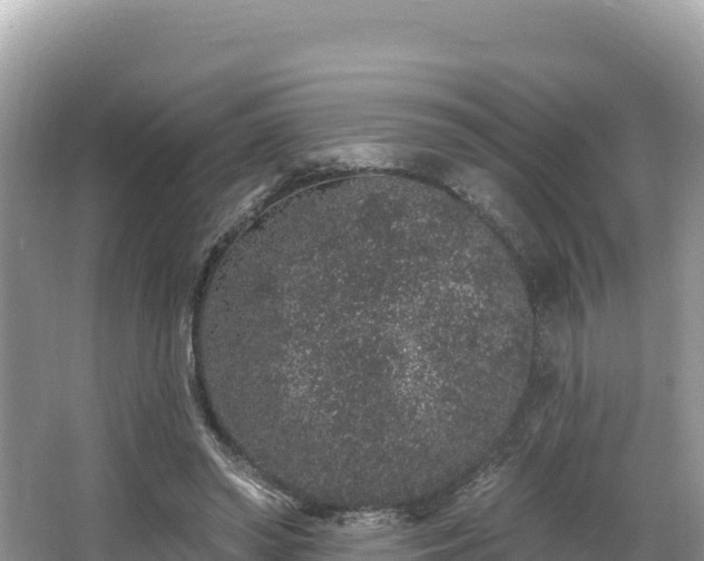 X0000067900398200604171408