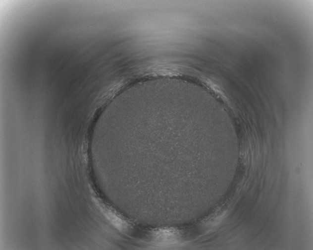 X0000067900402200604171408