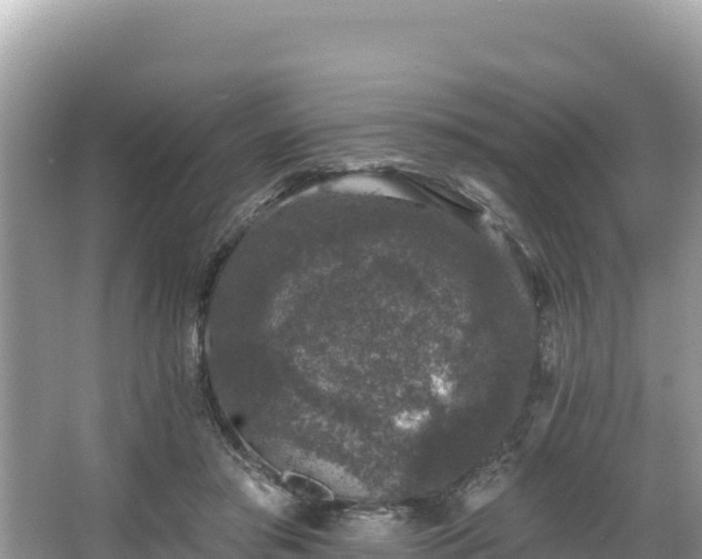 X0000067900405200604171408