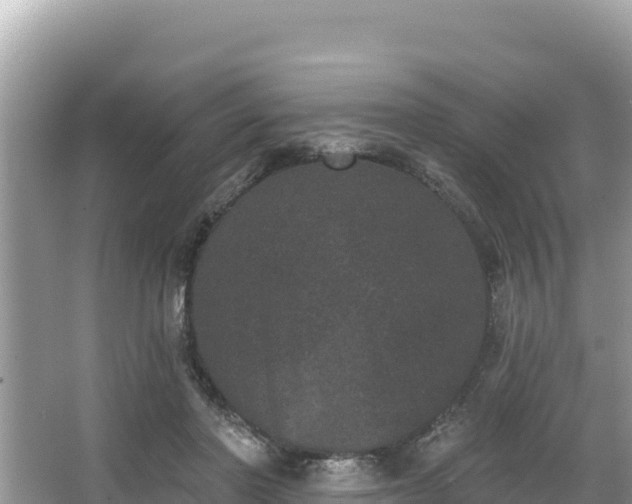 X0000067900406200604171408