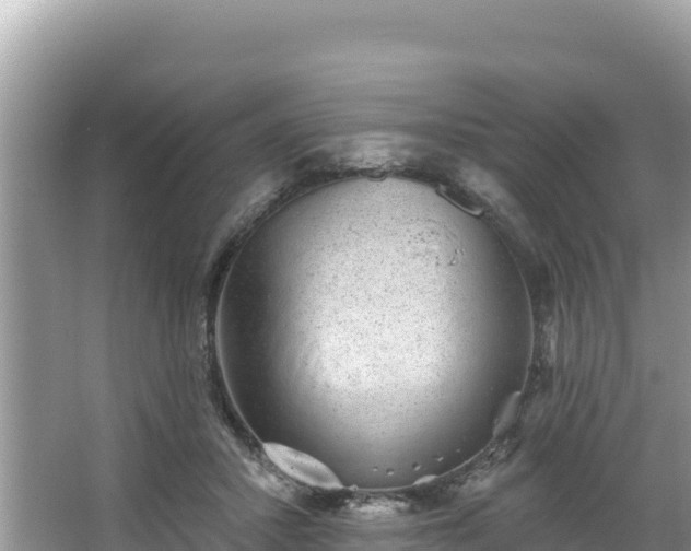 X0000067900407200604171408