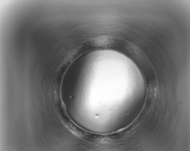 X0000067900408200604171408