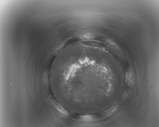 X0000067900409200604171408