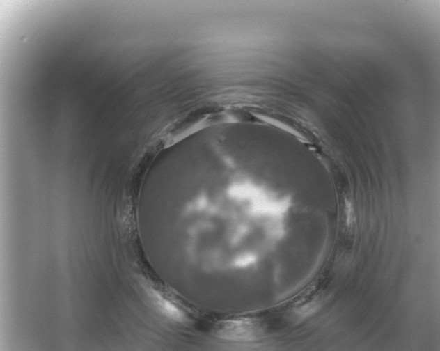 X0000067900411200604171408