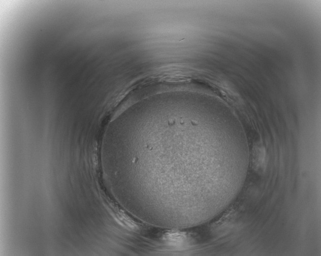 X0000067900413200604171408