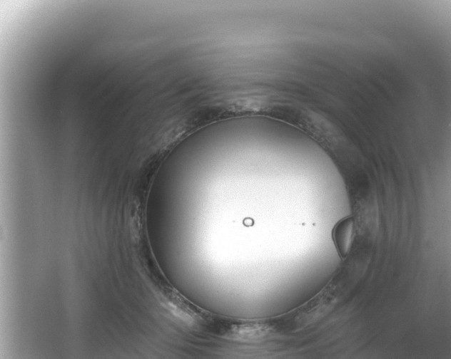 X0000067900414200604171408