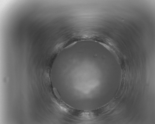 X0000067900415200604171408