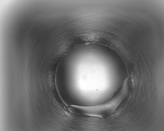 X0000067900416200604171408