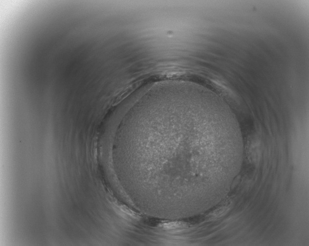 X0000067900417200604171408