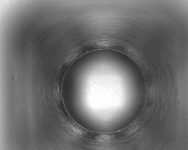 X0000067900418200604171408