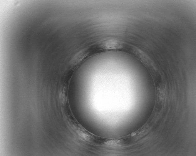 X0000067900422200604171408