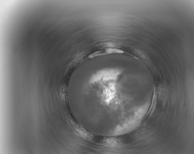 X0000067900423200604171408