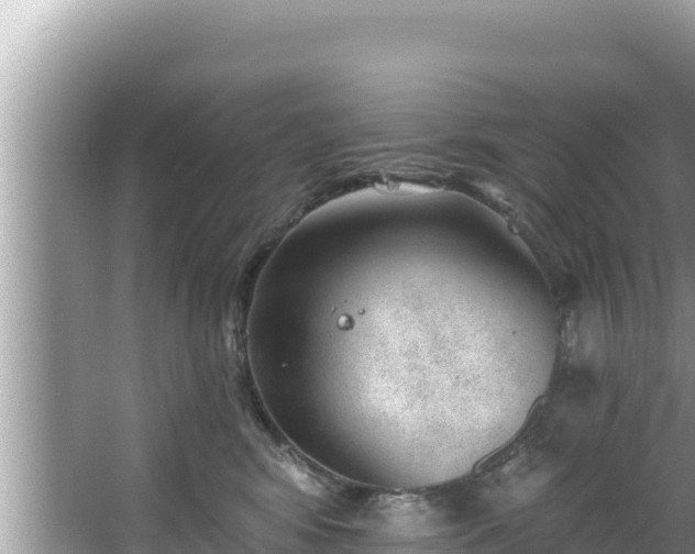 X0000067900424200604171408