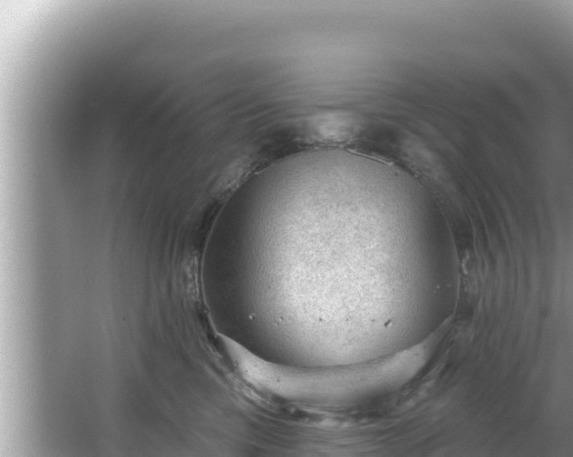 X0000067900425200604171408