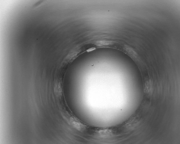 X0000067900426200604171408