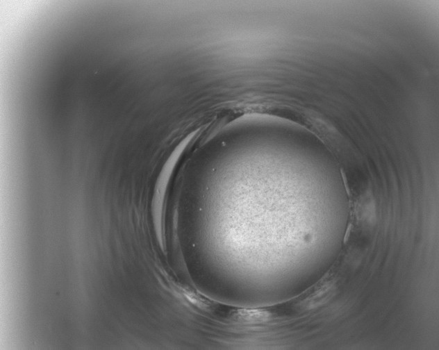 X0000067900429200604171408