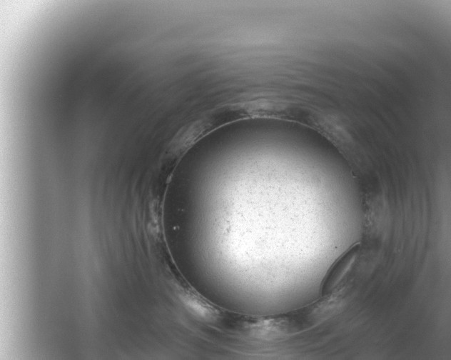 X0000067900430200604171408