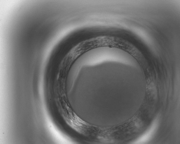 X0000067900431200604171408