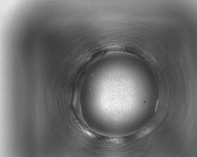 X0000067900432200604171408